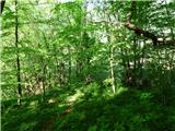 Planina Polog - Žlejžn