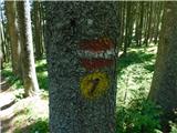 Podkraj / Unterort - Wackendorfer Spitze
