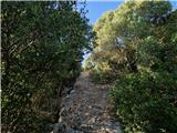 Ist - Straža (otok Ist)