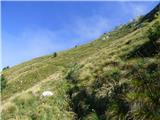 Planina Zapleč - Kal (greben Krnčice)