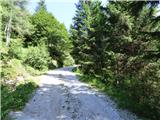 Nassfeld - Planina Javornik / Auernig Alm