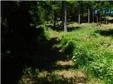 Podkraj / Unterort - Wackendorfer Spitze