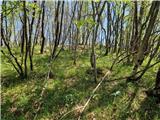 Škalnica - Veli vrh (nad Škalnico)