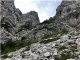 Izbor leve, poplezavajoče variante