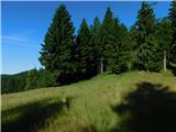 Javorje (Mala Črna) - Smrekovec