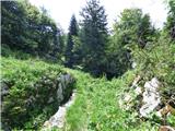 Kal-Koritnica - Lipnik (nad Lepeno)