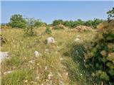 Crveni Vrh - Markovac