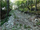 Bevški vrh - Veliki Modrasovec