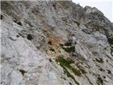 Zadnja Trenta (Flori) - Bavški Grintavec