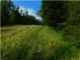 Podkraj / Unterort - Alte Zollhütte