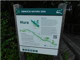 Močvirje Zaton