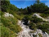 Lučka Bela (Za Loncem) - Kocbekov dom na Korošici