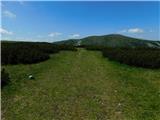 Raxalm-Berggasthof (Rax) - Heukuppe (Rax)