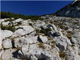 Robanov kot - Veliki vrh (Veža)