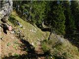 Aflenz Kurort (Bürgergraben) - Hochstein (pri Mitteralm)