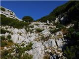 Planina Ravne - Veliki vrh (Veža)