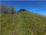 Bürgeralm (Panoramastraße) - Schönleitenhaus (Windgrube)