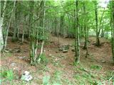 Kal-Koritnica - Lipnik (nad Lepeno)