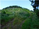 Pod Hlipovcem - Veliki Travnik (Turnovka)