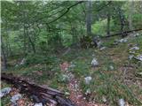 Lučka Bela (Za Loncem) - Kocbekov dom na Korošici