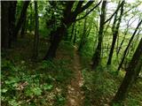 Gračnica - Sveti Lovrenc (nad vasjo Okroglice)