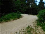 Javorje (Mala Črna) - Smrekovec