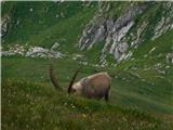 Jassing - Großer Ebenstein (jugovzhodni vrh)