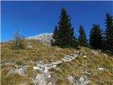 Altes Almhaus - Brandkogel