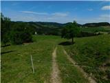 Lesično - Vina gora