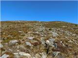 Parkirišče Hoyer (Neuhofgraben) - Lärchkogel (Glinska planina / Gleinalpe)