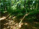 Žejno (Foto Ivanšek) - Sveti Vid (Šentviška gora)