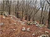 Mala Učka - Suhi vrh (Učka)