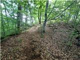 Stojdraga (Glažuta) - Gradina Tuščak 
