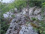Ljubotić (Sv. Ante) - Planinsko zavetišče Tatekova koliba