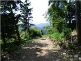Jesenovo - Črni vrh (Čemšeniška planina)