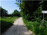 Zgornje Poljčane - Ljubična gora