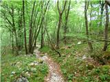 Planina Polog - Izvir Tolminke