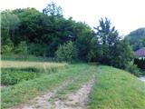 Loška Gora - Grad Lušperk