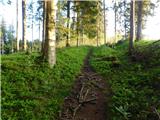 Brandlucken - Sommeralm