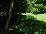 Zgornja Polskava - Žigartov vrh