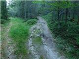 Alpl (Waldschulle Alpl) - Holta-Hütte (Rattner Alm)