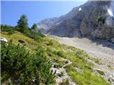 Bavšica - Zagorelec