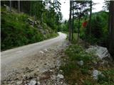 Bevški vrh - Mali Golak