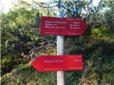 Planina Ravne - Veliki vrh (Veža)