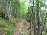 Kal-Koritnica - Lipnik (nad Lepeno)