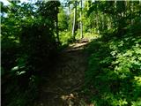 Čatež ob Savi - Sveti Vid (Šentviška gora)