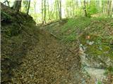 Bistrica ob Sotli - Svete gore