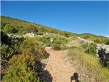 Ist - Straža (otok Ist)