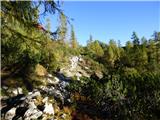 Planina Podvežak - Mala Ojstrica