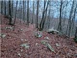 Poklon - Krog (Učka)